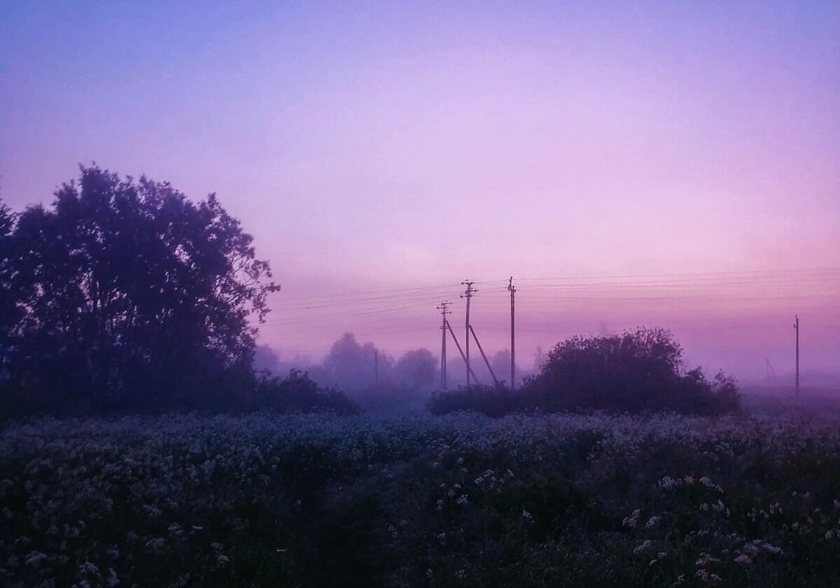 24小时火速逃离！张本兄妹叛逃德甲引爆乒坛